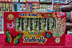 Miss Butterfly